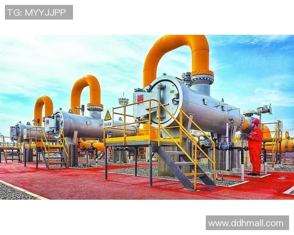 青年赛特别报道：LNG如何在挑战中实现转型与创新的成功之路