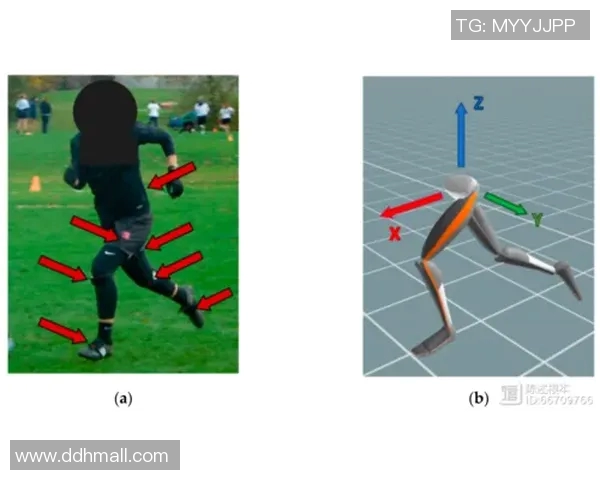 成都极限运动队心理素质深度对比分析及其对运动表现的影响探讨
