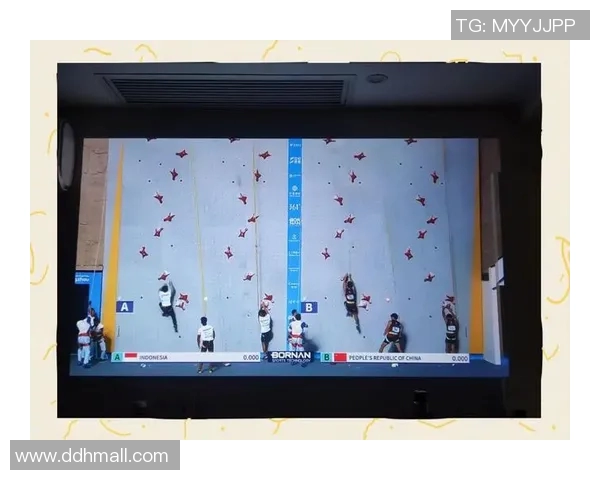 攀岩战术解析：深入探讨上海攀岩队的区域防守策略与实践