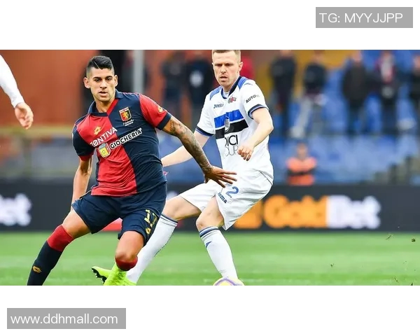 尼斯与南特实力对比分析谁能在比赛中占据上风