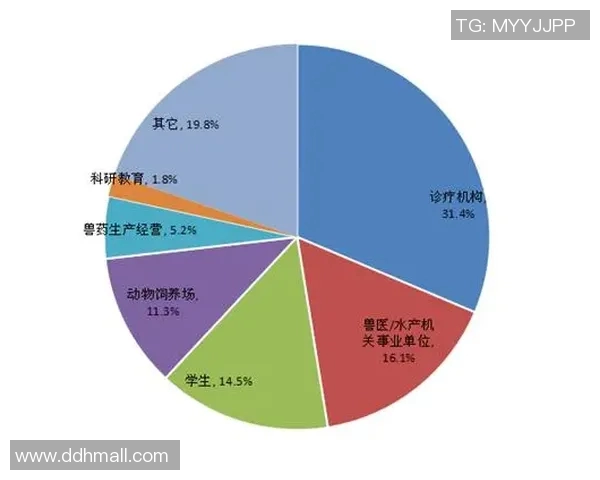 广东与青岛的比赛在哪里进行更具观赏性和竞争力分析
