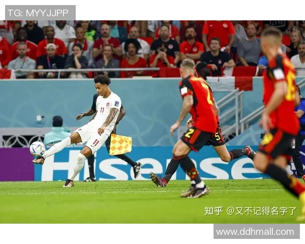 意大利与瑞典精彩对决比赛录播回放全程回顾与分析