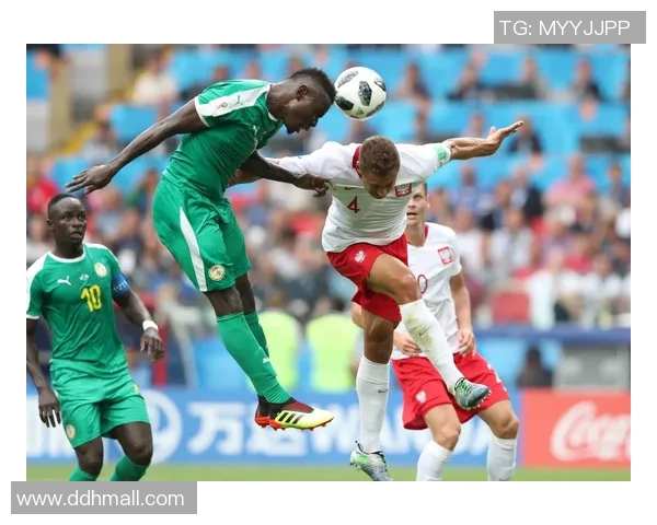 波兰与塞内加尔比赛水位分析及投注建议探讨