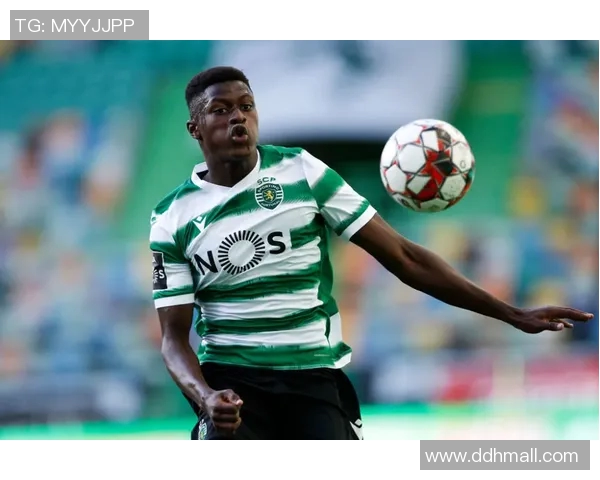 费雷拉与葡萄牙国家队的精彩对决分析与战术探讨