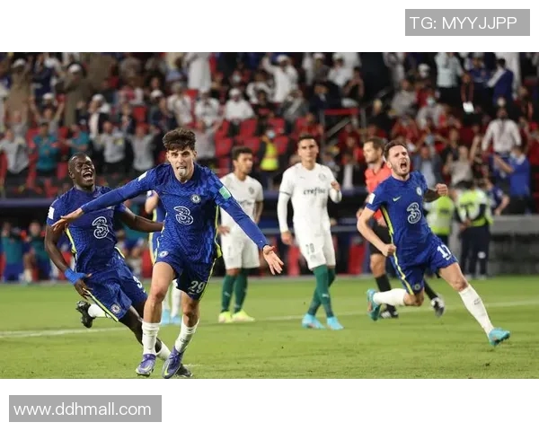 加迪夫城迎战狼队全力争胜展现英超激情与实力对决