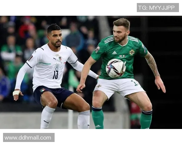 荷兰与北爱尔兰精彩对决回放分析及比赛亮点总结