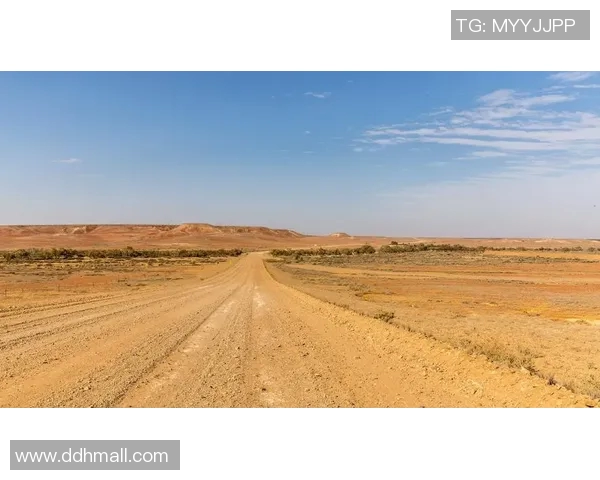 布莱克尼的魅力探索：揭开这座小镇的历史与文化之谜