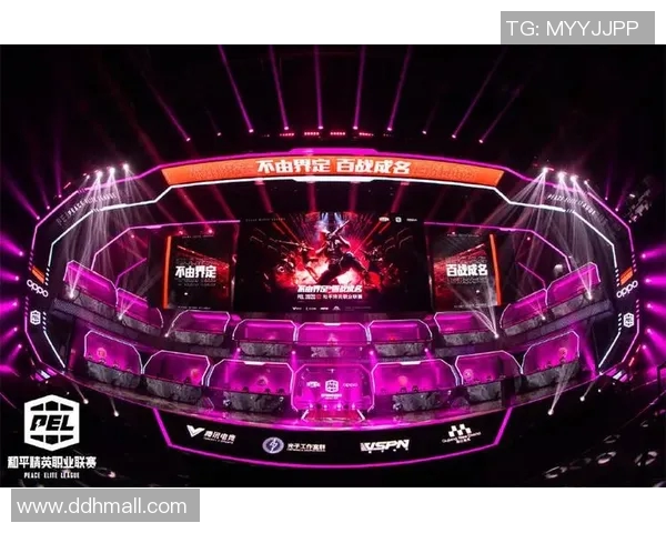 和平精英竞技场中RNG战队实力解析与未来展望MBA