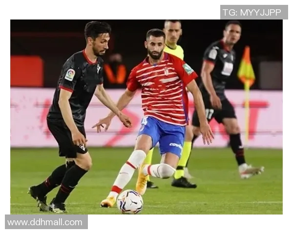 皇家社会与埃瓦尔精彩对决直播全程回顾与分析